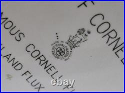 Royal Doulton Cliff Cornell Vtg Large Toby Jug Famous Cornell Fluxes 9 Rare